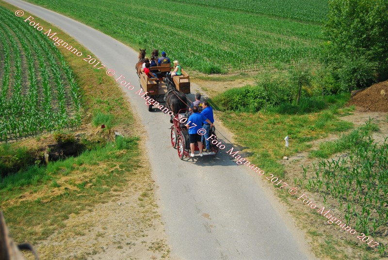 DSC_5002.JPG